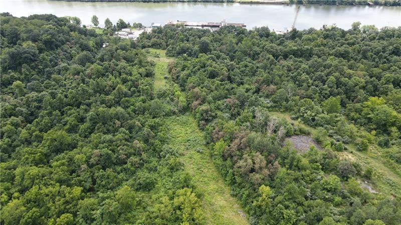 More Photos Of Lot 1 Low Hill Rd, Brownsville Land For Sale