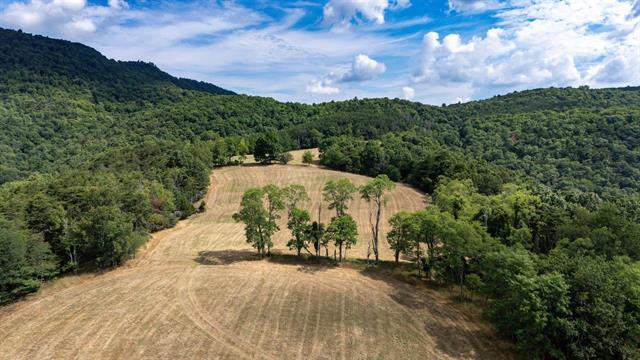 More Photos Of 22590 Criders Rd, Criders Land For Sale