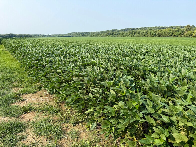 More Photos Of fort knox dr, Vincennes Land For Sale
