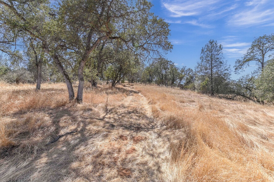 More Photos Of 5761 Highway 4, Angels Camp Land For Sale