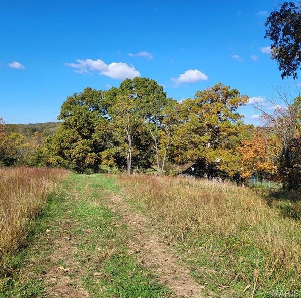 More Photos Of 1710 Ripley 142w-7, Gatewood Land For Sale