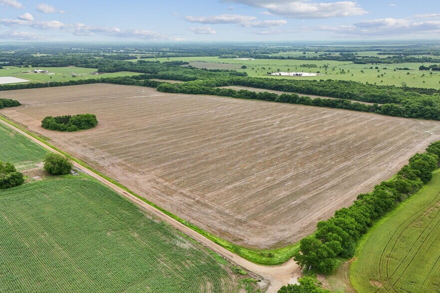 More Photos Of County Line Road, Honey Grove Land For Sale
