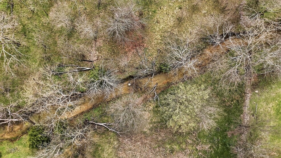 More Photos Of 111 Main st, Gunter Land For Sale