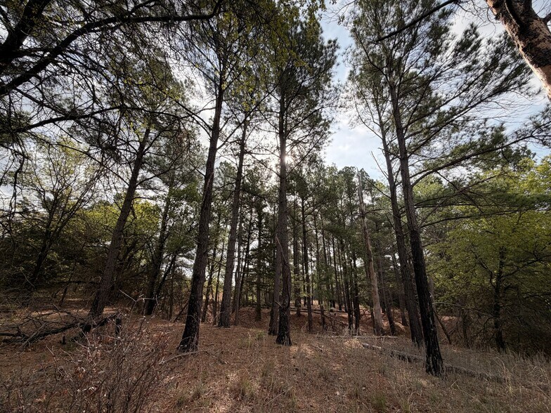 More Photos Of 2548 County Road 2690, Alvord Land For Sale