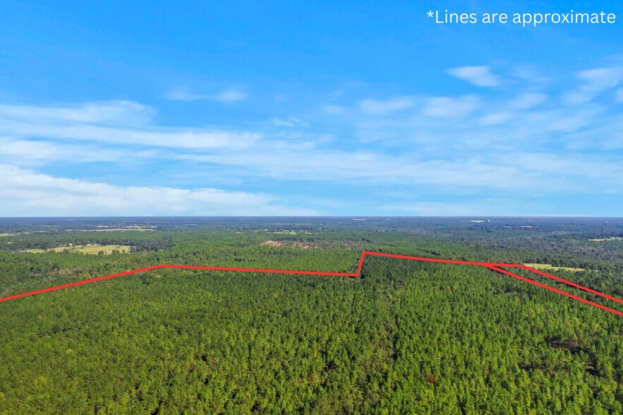More Photos Of 0 Nokomis Road, Walnut Hill Land For Sale