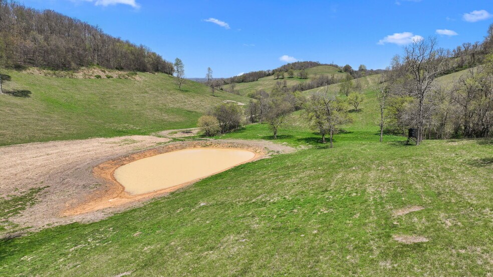 More Photos Of 0 McLaughlin Rd, Shelbyville Land For Sale