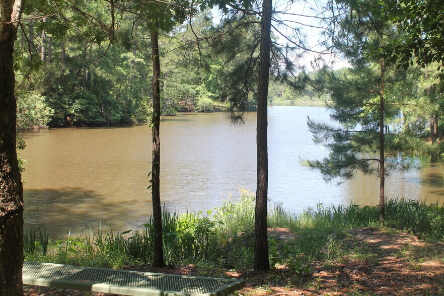 More Photos Of 248 WOODSY Holw, Goodrich Land For Sale