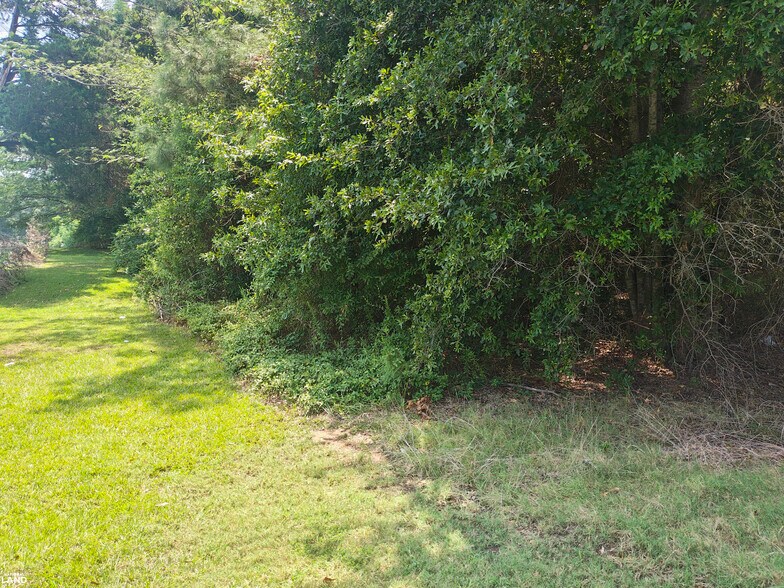 More Photos Of 0 Lot 028 Block DC 425 hwy, Bastrop Land For Sale