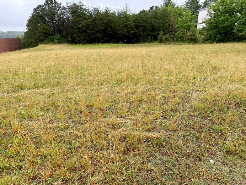 More Photos Of 384 Commonwealth Blvd W, Martinsville Land For Sale