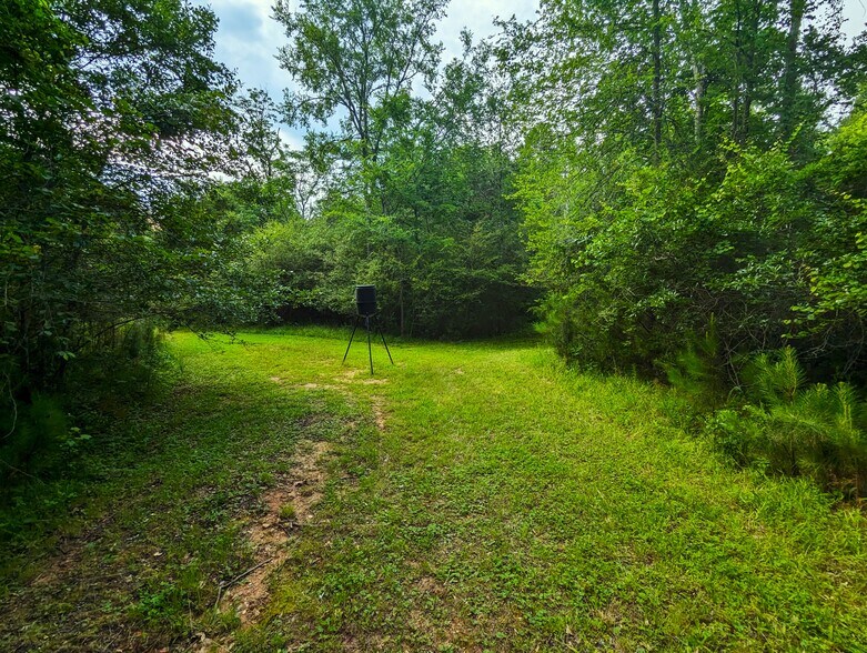 More Photos Of 2725 White Rd NE, Conyers Land For Sale