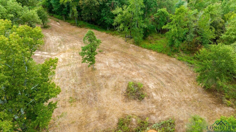 More Photos Of TBD US 259, Longview Land For Sale