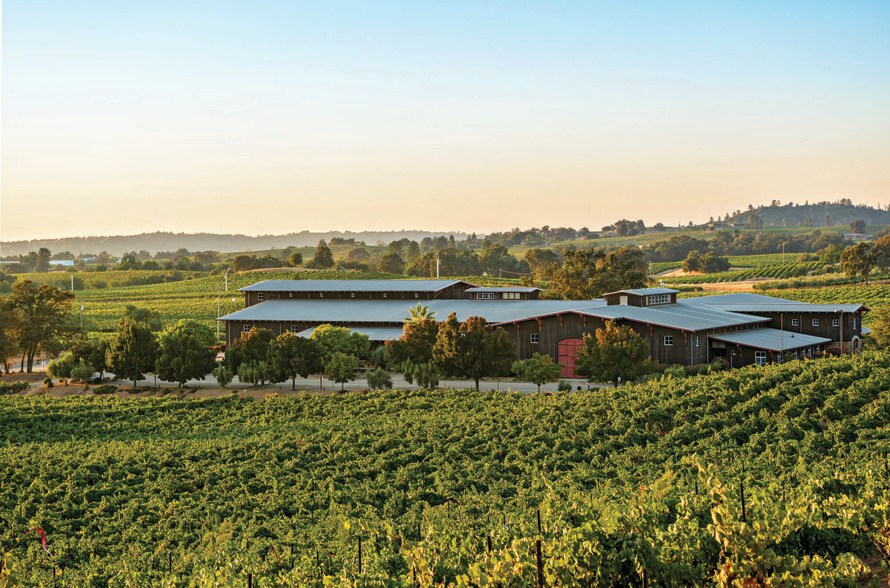 More Photos Of 20680 Shenandoah School Rd, Plymouth Winery Vineyard For Sale