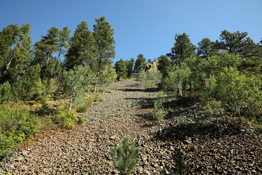 More Photos Of TBD Cutting Mine Road, Lead Land For Sale