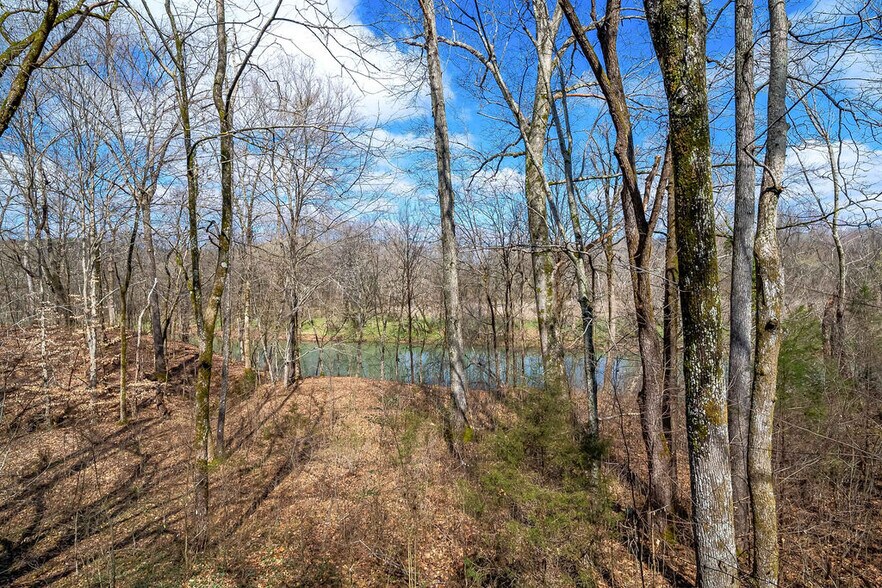 More Photos Of 0 Hwy 13, Linden Land For Sale