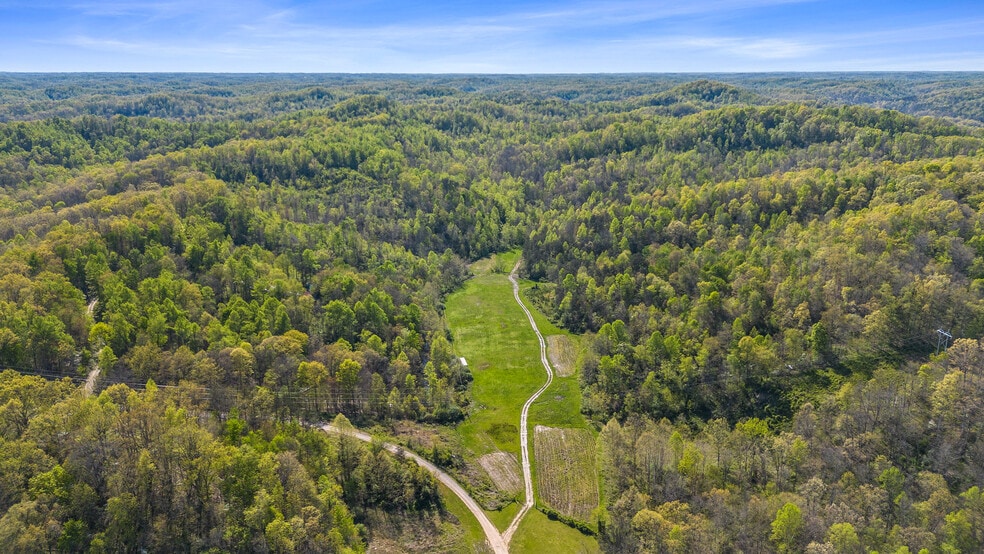 More Photos Of Knipp Branch, Grayson Land For Sale