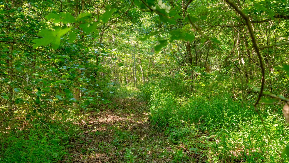 More Photos Of 1975 State Road NN, Climax Springs Warehouse For Sale