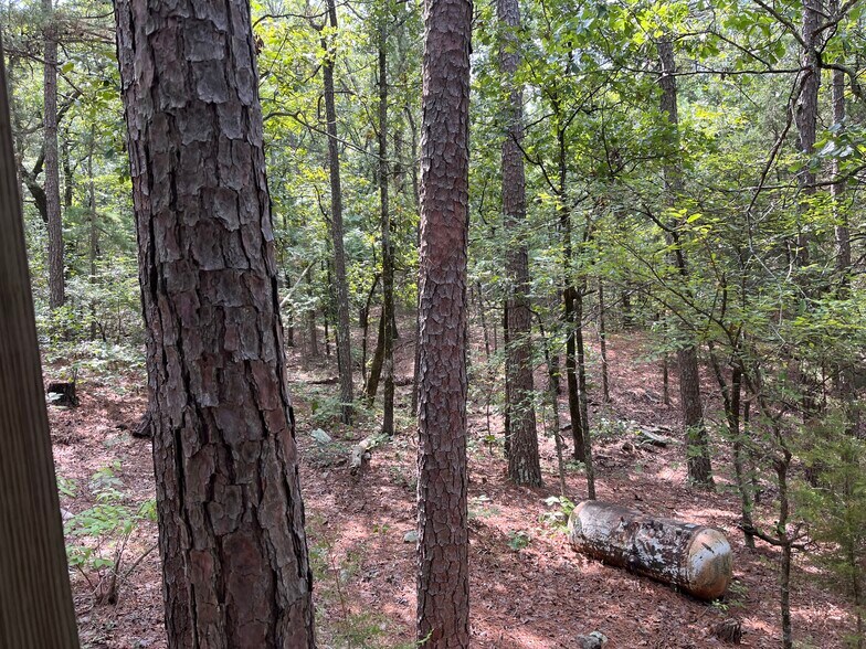 More Photos Of 27546 Reservation Rd, Daisy Land For Sale