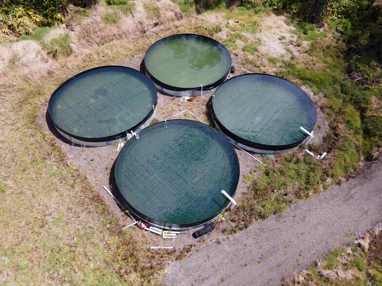 More Photos Of 19-4549 Amaumau Rd, Volcano Land For Sale