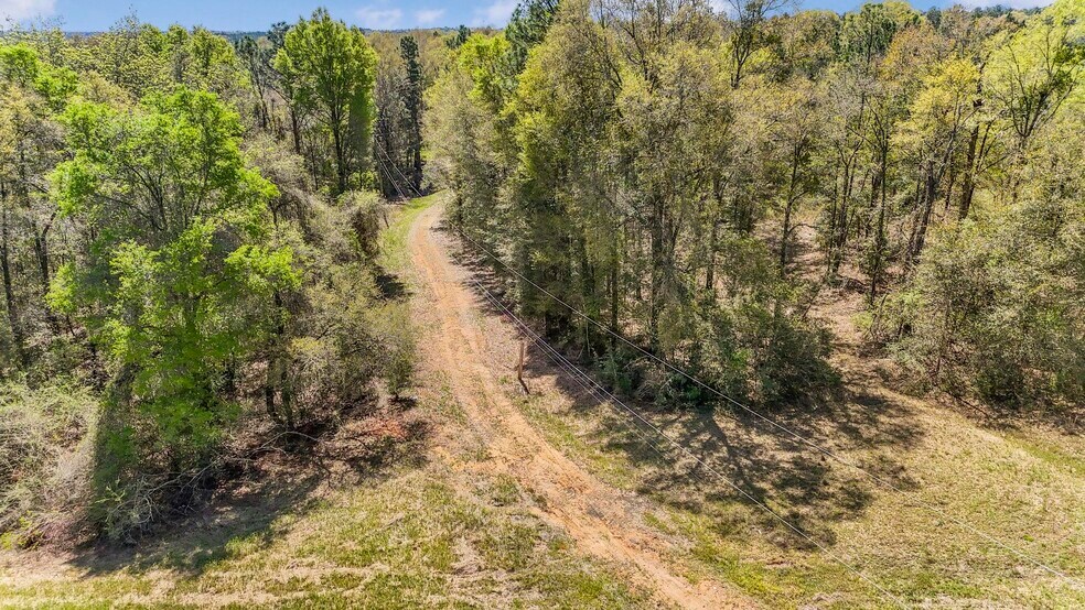 More Photos Of 7700 Iron Rush Rd, Wilmer Land For Sale