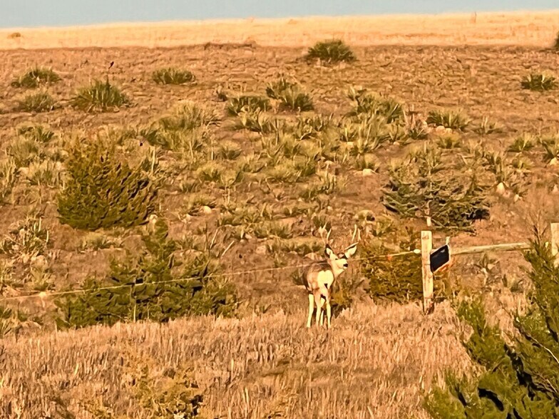 More Photos Of TBD Highway 1804, Pierre Land For Sale