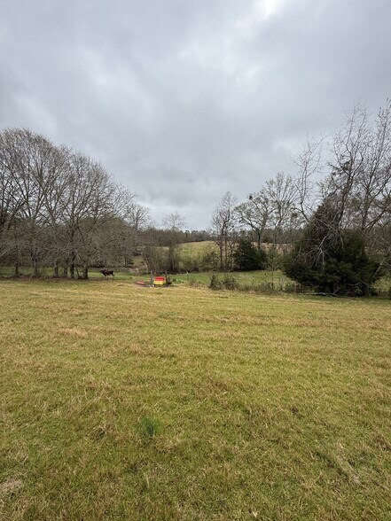 More Photos Of 1681 Sibley School rd, Greensboro Land For Sale