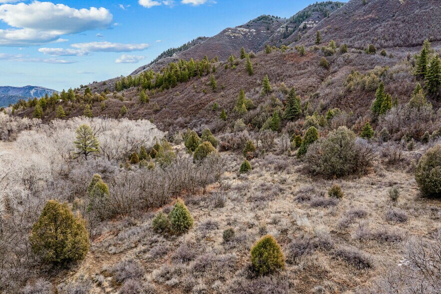 More Photos Of 20800 Highway 160, Durango Storefront For Sale