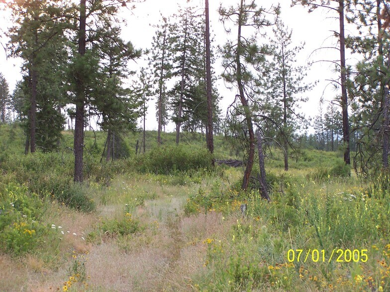 More Photos Of Highland, Nine Mile Falls Land For Sale