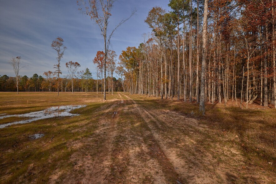 More Photos Of 480 Martin Rd, Cotton Valley Land For Sale