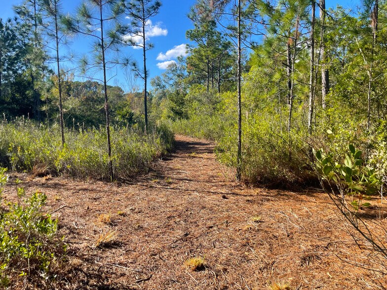 More Photos Of 9115 S Suncoast Blvd, Homosassa Land For Sale