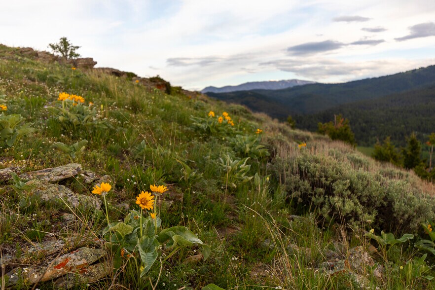 More Photos Of 2 Trail Creek Rd, Bozeman Land For Sale