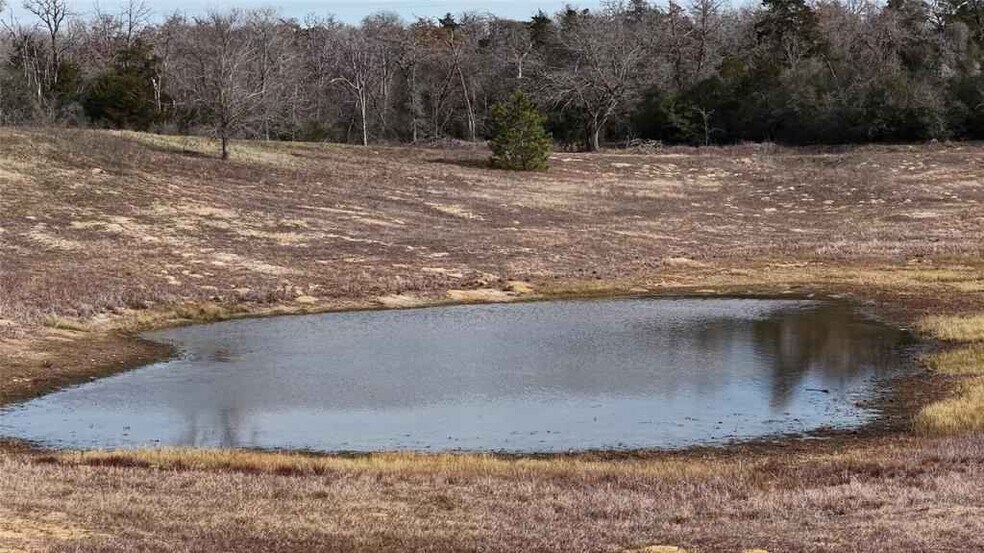 More Photos Of 218 Little Ranch Rd, Red Rock Land For Sale