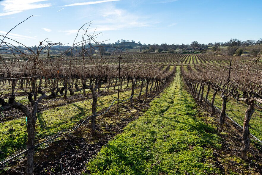 More Photos Of 19900 Shenandoah School rd, Plymouth Land For Sale