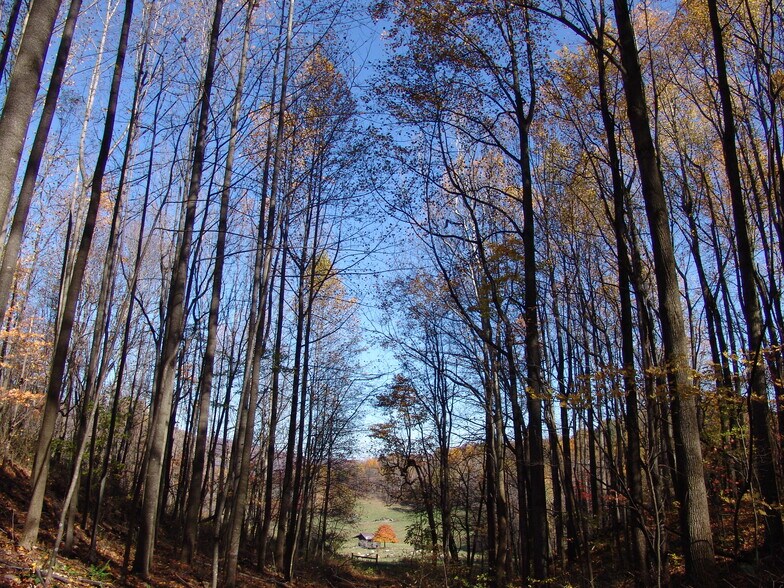 More Photos Of Near Little Washington Virginia, Washington Land For Sale