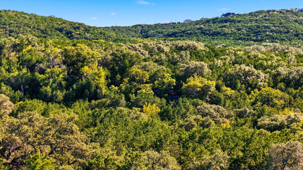 More Photos Of 446 County Road 2763, Mico Land For Sale