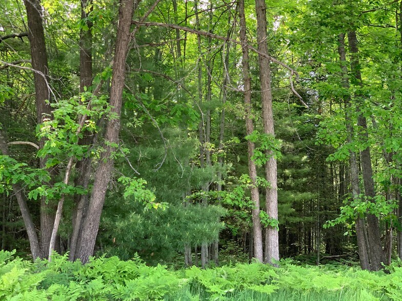 More Photos Of Xxx W Houghton Lake Dr, Houghton Lake Land For Sale