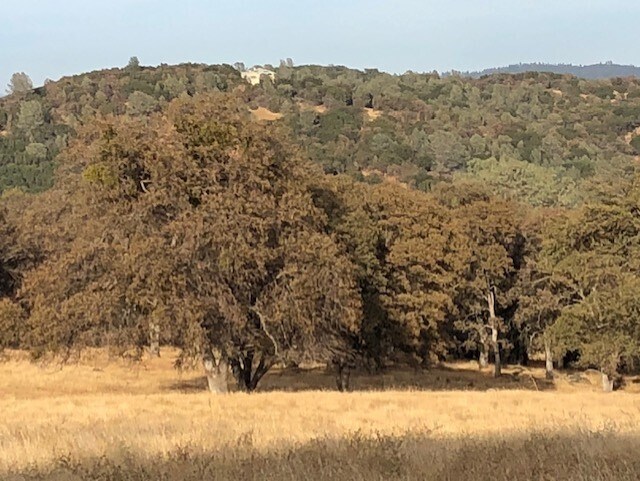 More Photos Of 1484 Oregon Gulch, Oroville Land For Sale