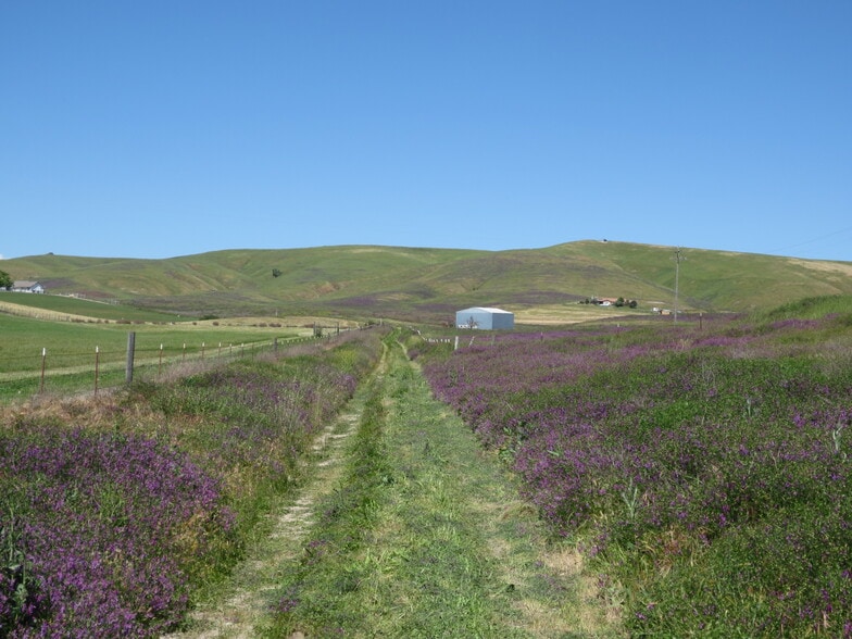 More Photos Of Camp 8 Road, Paso Robles Land For Sale