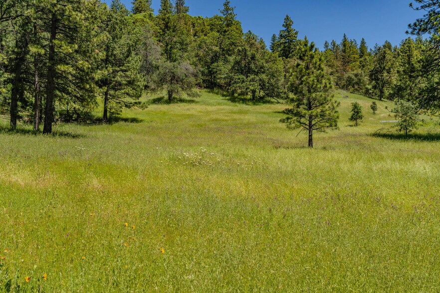 More Photos Of 25755 State Highway 88, Pioneer Land For Sale