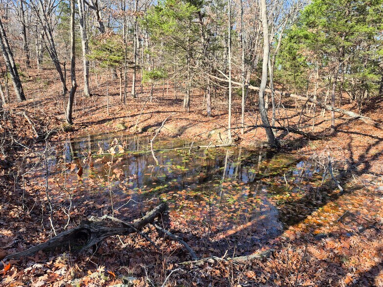 More Photos Of Logan School Rd. (30.2+/- Acres), New Florence Land For Sale