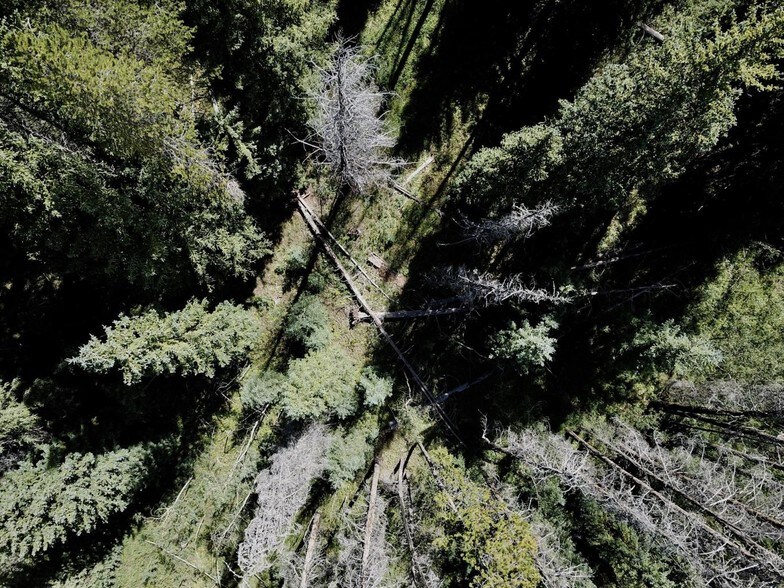 More Photos Of Tbd Ski Idlewild Rd Tract G, Winter Park Land For Sale