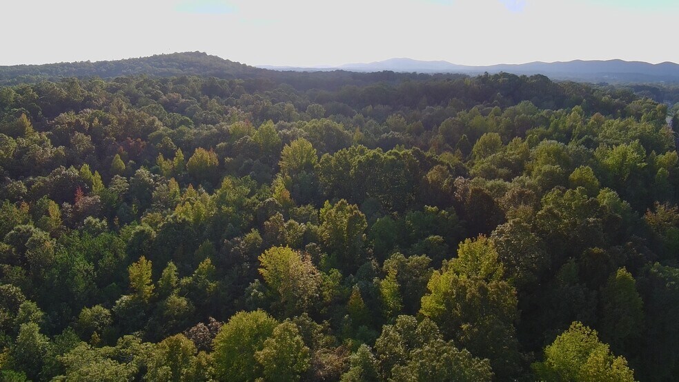 More Photos Of 1501 Ashland Highway, Talladega Land For Sale