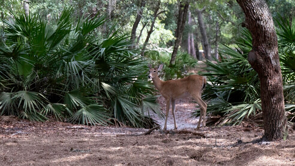 More Photos Of 134 Shoreside Trail, Crescent City Land For Sale