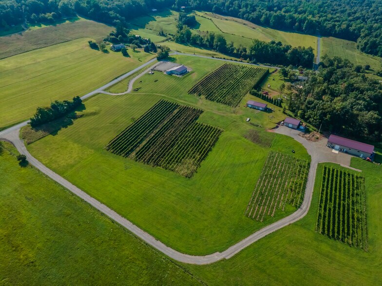 More Photos Of 596 Harman Rd, Halifax Winery Vineyard For Sale