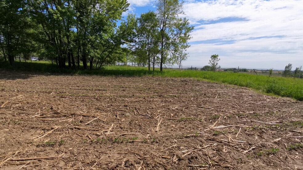 More Photos Of TBD 31st NW Ave @ HWY 52/75th Street NW, Oronoco Land For Sale