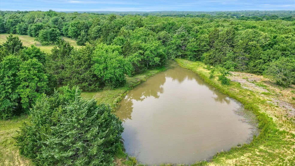 More Photos Of TBD W Line Road, Whitesboro Land For Sale