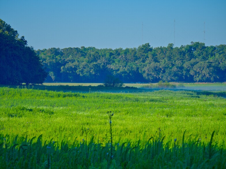 More Photos Of 3267 Neff Lake Rd, Brooksville Land For Sale