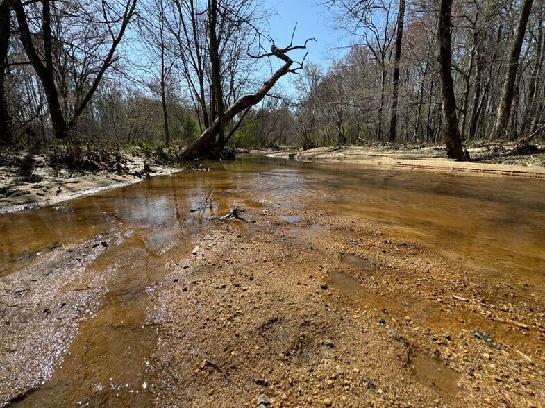 More Photos Of 10831 Highway 9, Kellyton Land For Sale