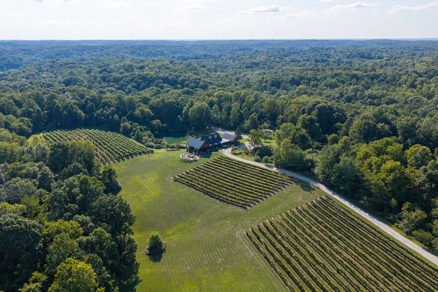 More Photos Of 401 Gilkey Ridge Rd, Shade Winery Vineyard For Sale