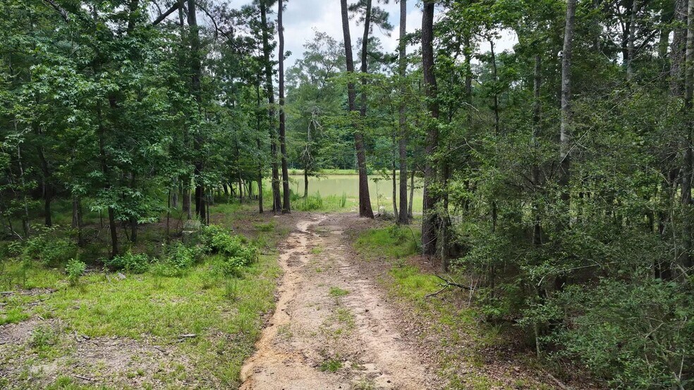 More Photos Of 856 TX-150, New Waverly Land For Sale