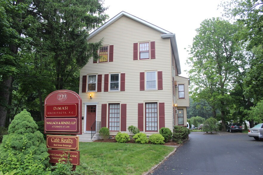 More Photos Of 239 Lexington Ave, Mount Kisco Loft Creative Space For Sale